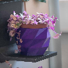 Filamento Refill PLA Purple - 1.75mm, 1000g Filamento Refill PLA Purple - 1.75mm, 1000g