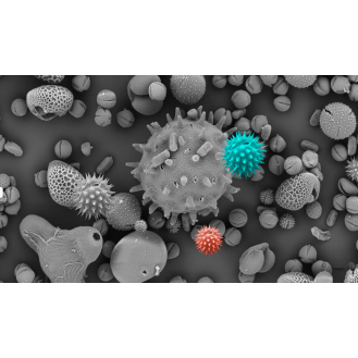 Tragbarer Ozonisator für die Raumdesinfektion. TEINNOVA OZO3 - 10g/h-Beschreibung lesen