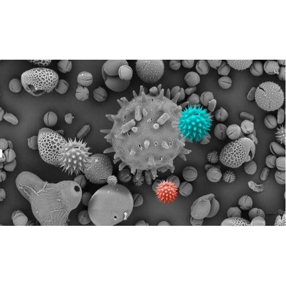 Tragbarer Ozonisator für die Raumdesinfektion. TEINNOVA OZO3 - 10g/h-Beschreibung lesen