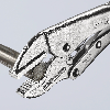 Gripzange Gesamt-L.250mm Spann-W.max.35mm