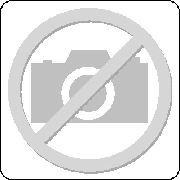 Kippbehälter L1395xB840xH905mm lichtblau Inh.0,6 m³ Kippbehälter L1395xB840xH905mm lichtblau Inh.0,6 m³-Beschreibung lesen