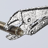 Gripzange Gesamt-L.250mm Spann-W.max.40mm