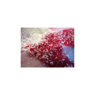 Gránulos hemostáticos en sobre 15g-Leer más