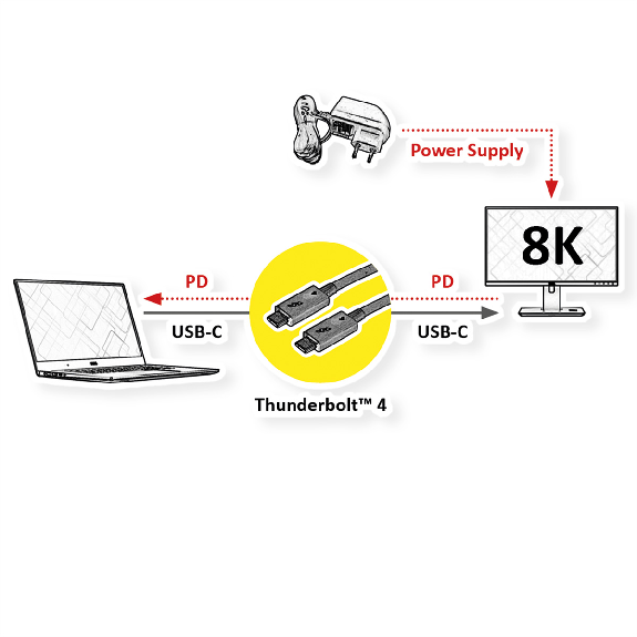 ROLINE Câble Thunderbolt 4 USB type C, M/M, 40Gbit/s, 100W, passif, noir, 1 m-Lire la description