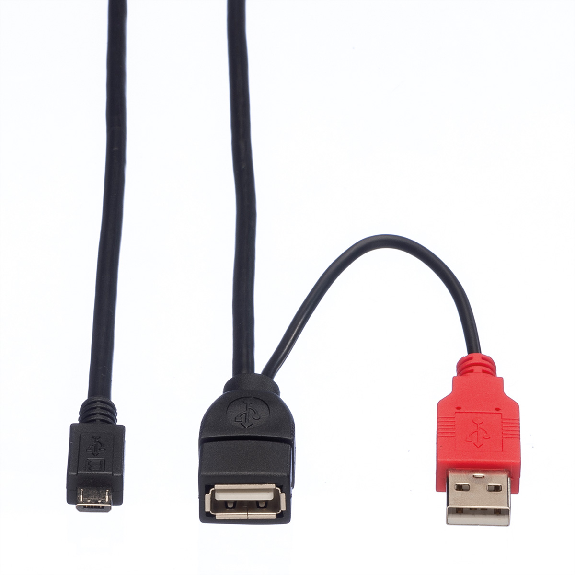 ROLINE USB 2.0 Y-Kabel, 2x Typ A (ST / BU) - Micro B ST, 1m-Beschreibung lesen