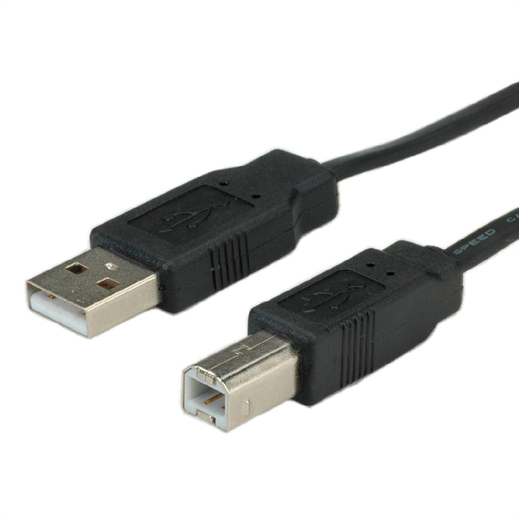 ROLINE Câble USB 2.0 plat pour Notebook, type A-B, noir, 0,8 m-Lire la description