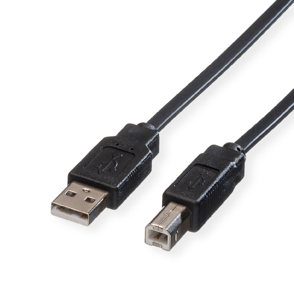 ROLINE Câble USB 2.0 plat pour Notebook, type A-B, noir, 0,8 m-Lire la description