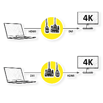 ROLINE Monitorkabel DVI (24+1) - HDMI, ST/ST, schwarz / silber, 1 m-Beschreibung lesen