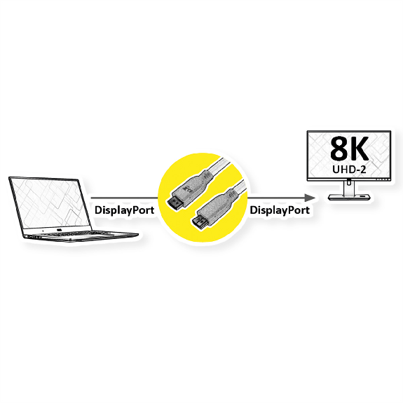 ROLINE RM Câble DisplayPort v1.4, DP M - DP M, noir, 3 m-Lire la description