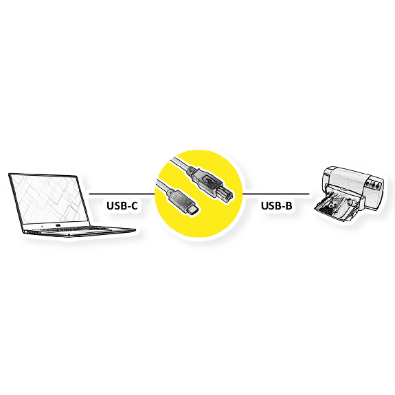 ROLINE Câble USB2.0 Type C - B, M/M, noir, 3 m-Lire la description
