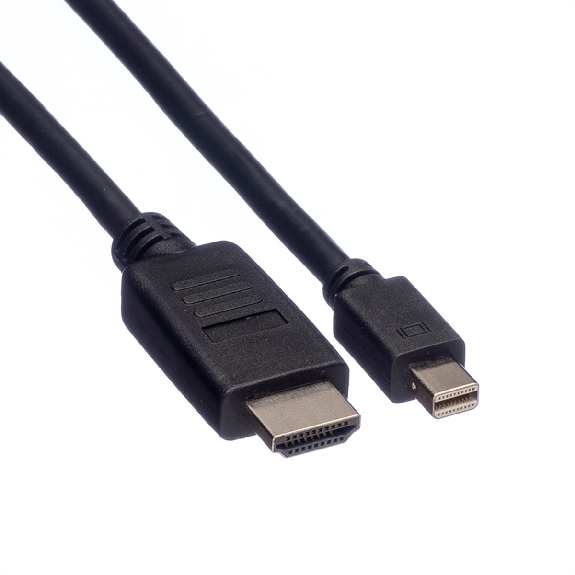 ROLINE Câble Mini DisplayPort, Mini DP - HDTV, M/M, noir, 2 m-Lire la description