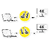 ROLINE GOLD Câble pour écran DVI (24+1) - HDMI, M/M, 1 m
