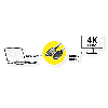 ROLINE Câble DisplayPort DP - UHDTV, Slim, M/M, noir, 1 m