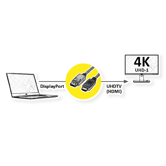 ROLINE Câble DisplayPort DP - UHDTV, Slim, M/M, noir, 1 m-Lire la description