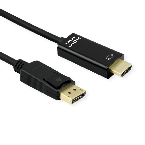 ROLINE Câble DisplayPort DP - UHDTV, Slim, M/M, noir, 1 m-Lire la description