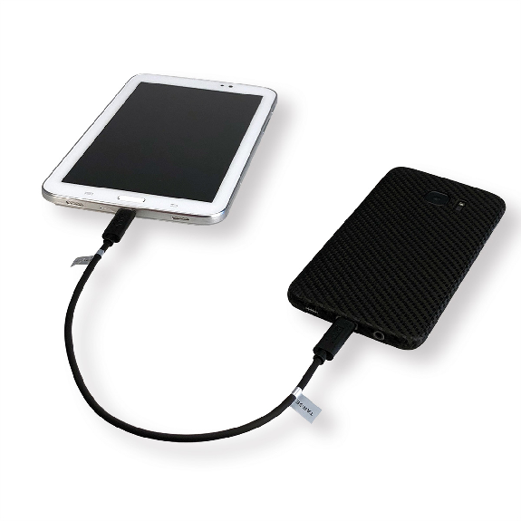 ROLINE USB 2.0 Ladekabel, Micro B - Micro B, ST/ST, schwarz, 0,3 m-Beschreibung lesen
