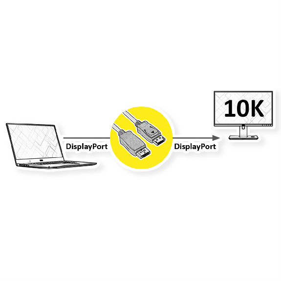ROLINE Câble DisplayPort v2.1, 10K, DP M - DP M, noir, 2 m-Lire la description