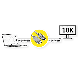 ROLINE Câble DisplayPort v2.1, 10K, DP M - DP M, noir, 2 m-Lire la description