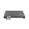 Báscula industrial de plataforma inoxidable con columna y visor LCD Baxtran TMZ