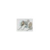 Bobina mixta esterilización 5 cm x 200 mts