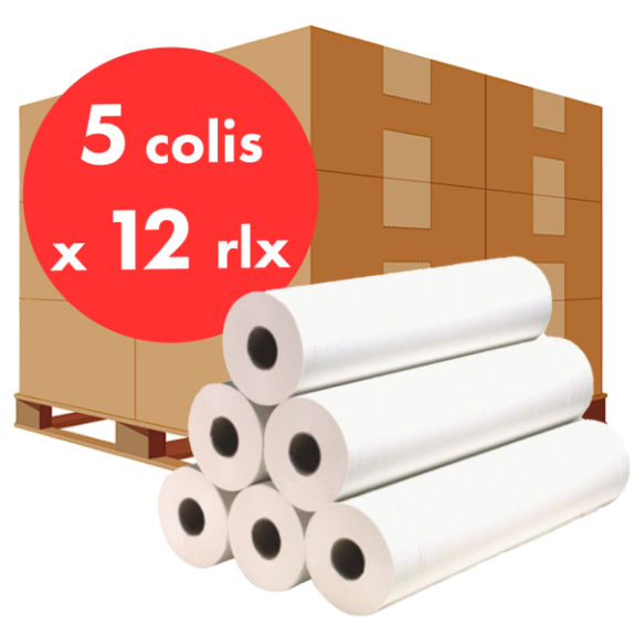 Draps d'examen ouaté 50x35cm 12 rlx - Pack de 5 colis Draps d'examen ouaté 50x35cm 12 rlx - Pack de 5 colis-Lire la description