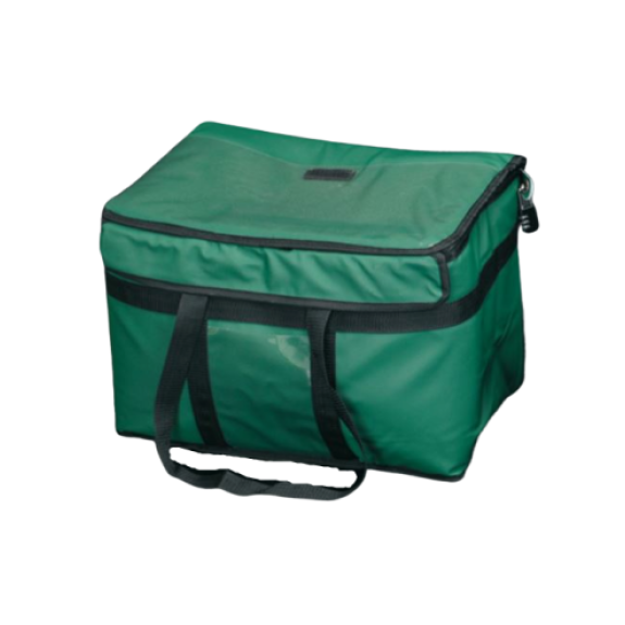 Borsa termica per trasporto campioni 27L verde-Leggi tutto