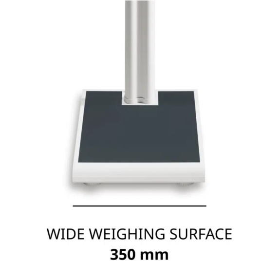 Bilancia elettronica a colonna 250 kg-Leggi tutto