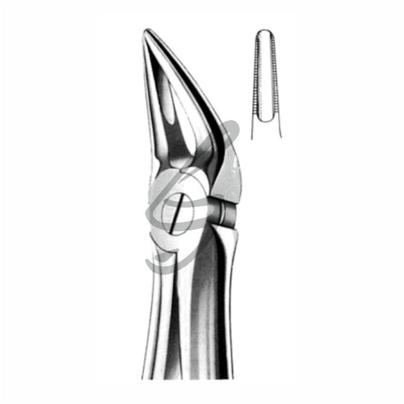 Forceps de extracción Fig.30 para raíces superiores-Leer más