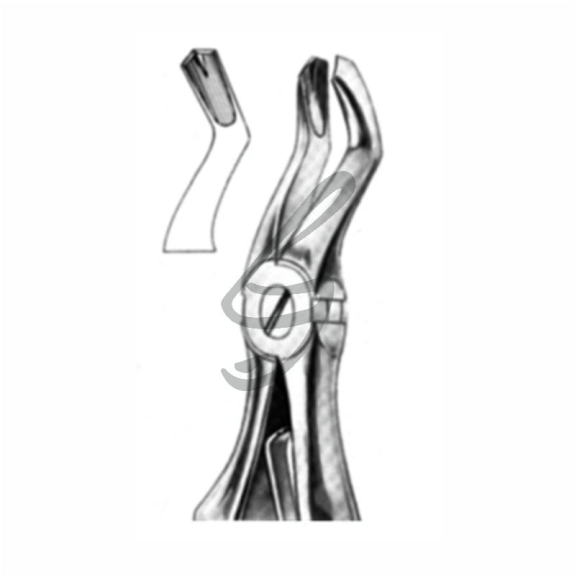 Forceps de extracción para niños Fig.3-Leer más