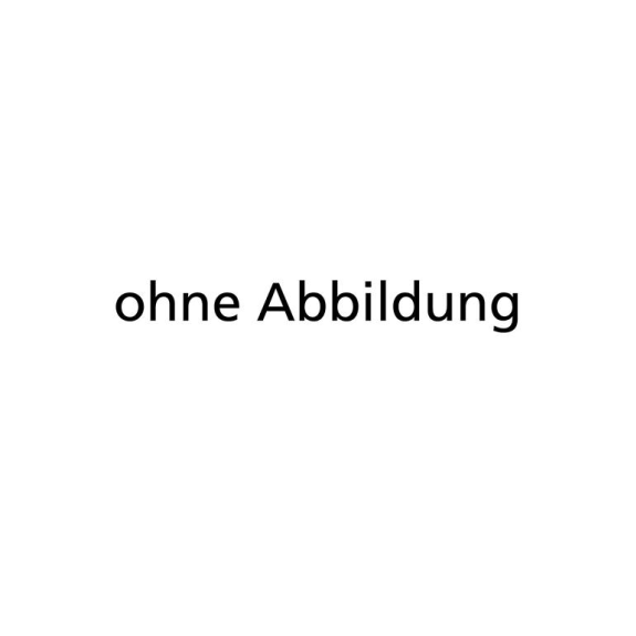 Holthaus Verbandkastenhalterung Nr.60069 f. Nr.63169-Beschreibung lesen