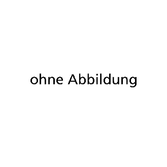 Holthaus Verbandkastenhalterung Nr.60069 f. Nr.63169-Beschreibung lesen