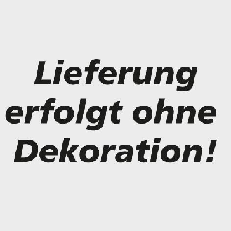 Plattformleiter ProTect+ 848405-Beschreibung lesen