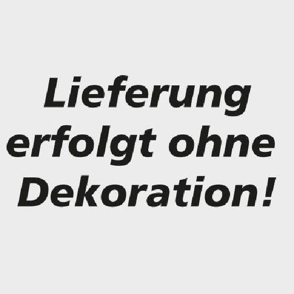 Plattformleiter ProTect+ 848408 Plattformleiter ProTect+ 848408-Beschreibung lesen
