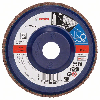 Bosch Fcherschleifscheibe X571 Best for Metal, gerade, 125 mm, 60, Kunststoff