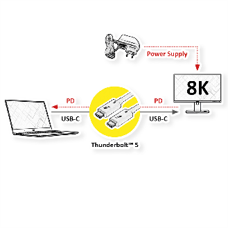 ROLINE Câble Thunderbolt 5 USB type C, M/M, 80Gbit/s, 240W, passif, noir, 0,5 m-Lire la description
