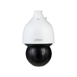 IP PTZ Kamera 4MP mit Starlight- und WizSense-Technologie-Beschreibung lesen
