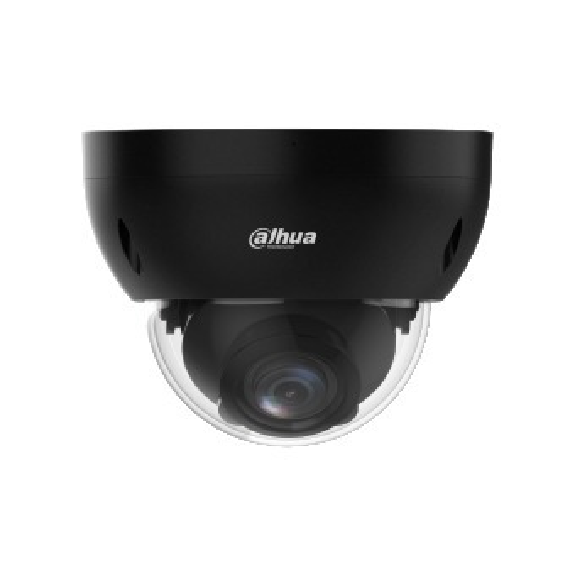 IP-Dome-Kamera IPC-HDBW2441RP-ZS-Black 4MP-Beschreibung lesen