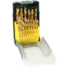 Bosch 25-teiliges HSS-TiN-Metallbohrer-Set