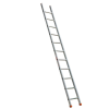Échelle simple professionnelle 300