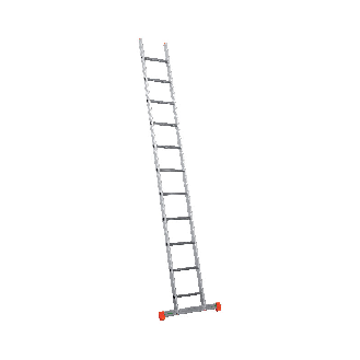 Échelle simple professionnelle 350-Lire la description