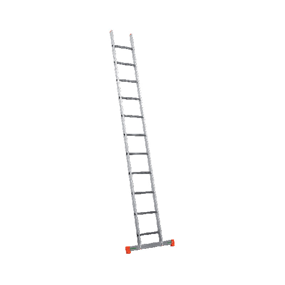 Échelle simple professionnelle 350-Lire la description