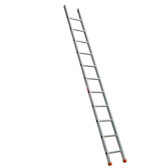 Échelle simple professionnelle 250-Lire la description