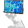BRESSER HDMI Display Full HD (13.3") Pantalle para MikroCam Pro