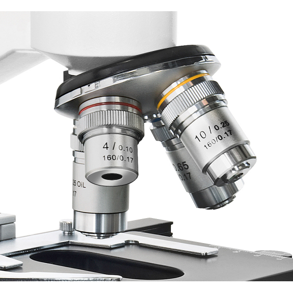 BRESSER Erudit DLX 40-600x Microscopio-Leer más