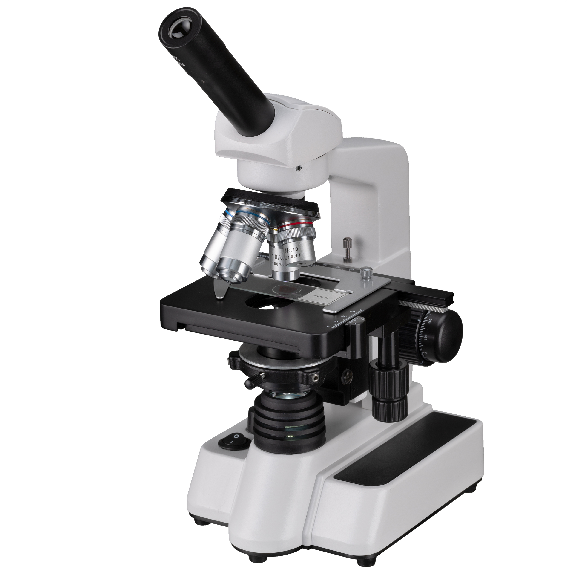 Microscopio Erudit DLX 40-1000x BRESSER Microscopio Erudit DLX 40-1000x BRESSER-Leer más