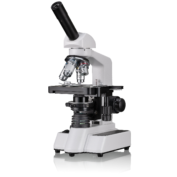 Microscopio Erudit DLX 40-1000x BRESSER Microscopio Erudit DLX 40-1000x BRESSER-Leer más