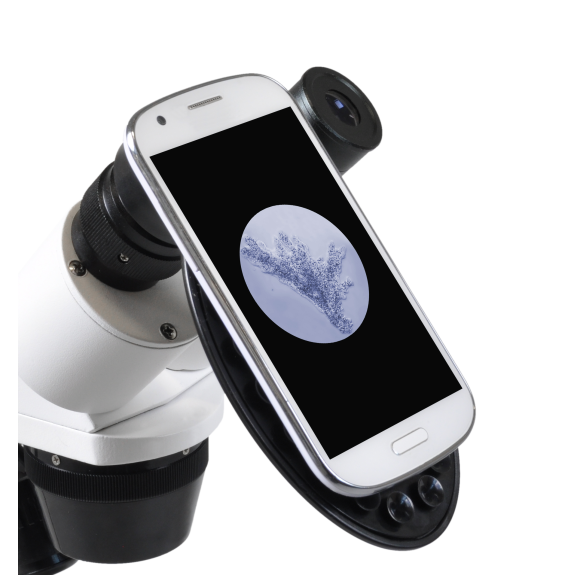 Lupa Binocular Erudit ICD (3D) BRESSER-Leer más