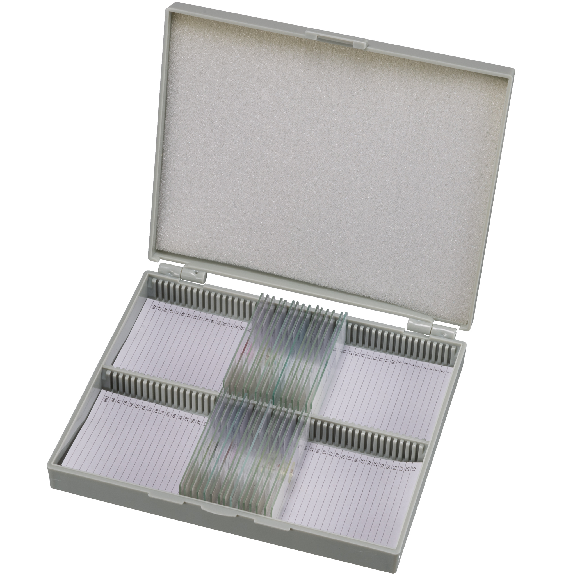 BRESSER muestras preparadas 50 pcs./Caja-Leer más