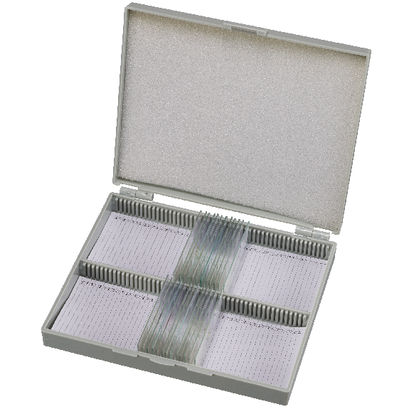 BRESSER muestras preparadas 25 pcs. Caja-Leer más