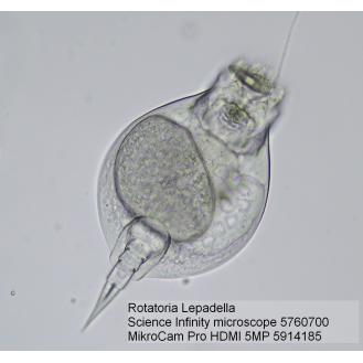 Caméra de Microscope BRESSER MikroCam Pro HDMI 5MP-Lire la description